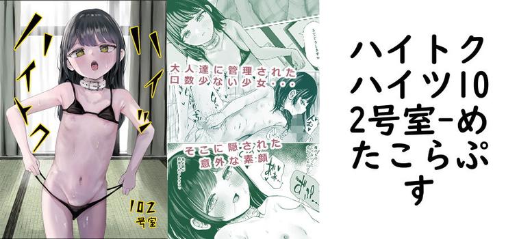 ハイトクハイツ102号室の表紙画像